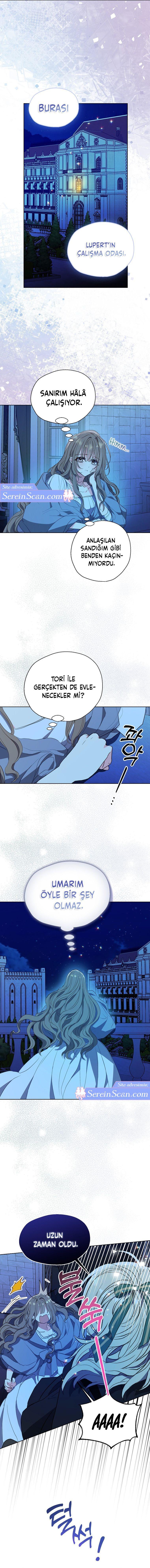 3-cmnq2268807i4ucwa0pciz3a1