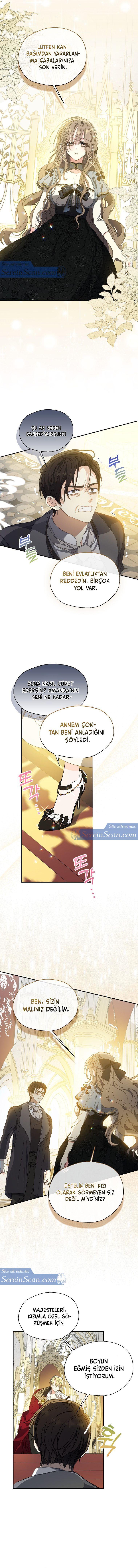 3-cmnq2268807i4ucwa0pciz3a1