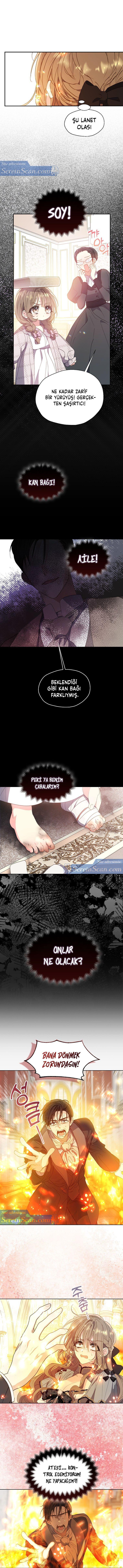 7-cmnq2268807i4ucwa0pciz3a1