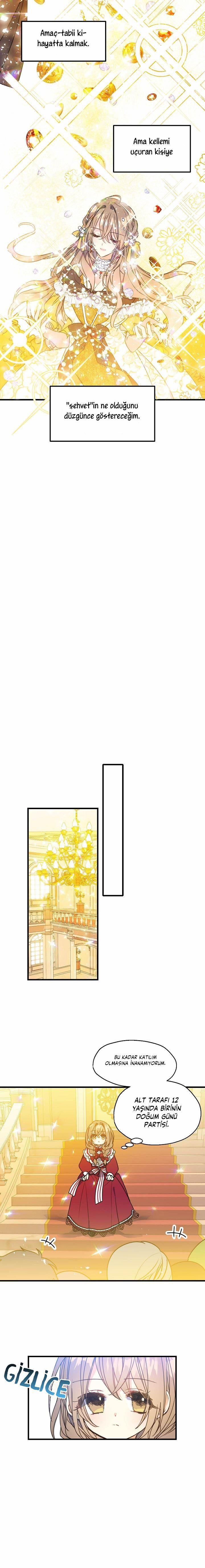 11-cmnq2268807i4ucwa0pciz3a1