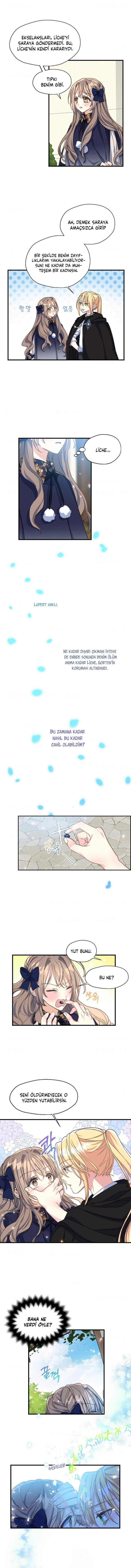 4-cmnq2268807i4ucwa0pciz3a1