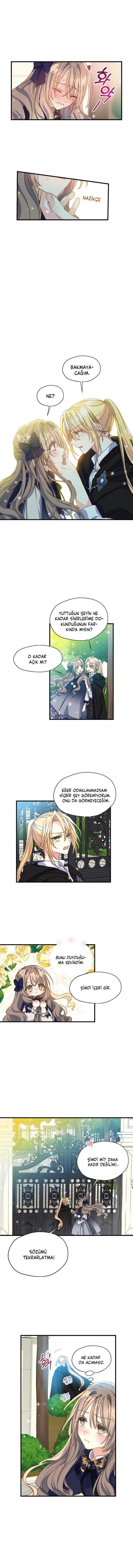 7-cmnq2268807i4ucwa0pciz3a1