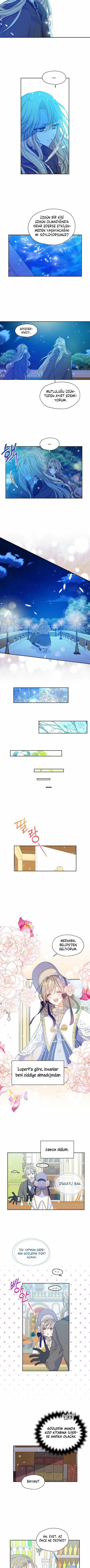 4-cmnq2268807i4ucwa0pciz3a1