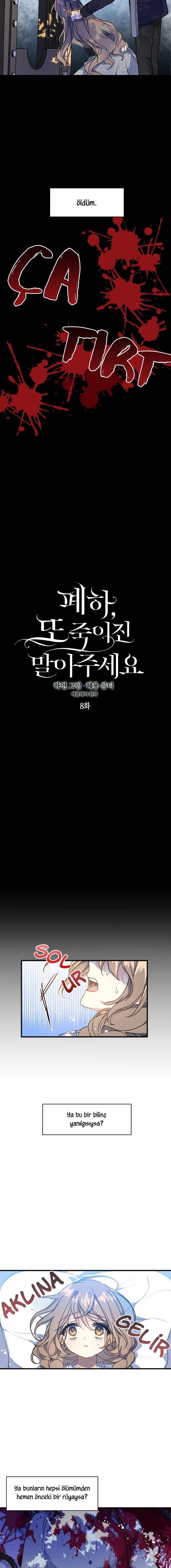 2-cmnq2268807i4ucwa0pciz3a1