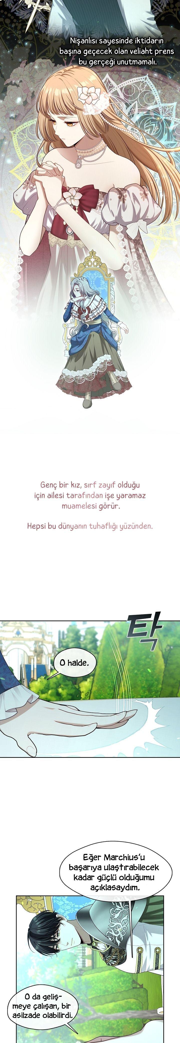 11-cmnq2268807i4ucwa0pciz3a1