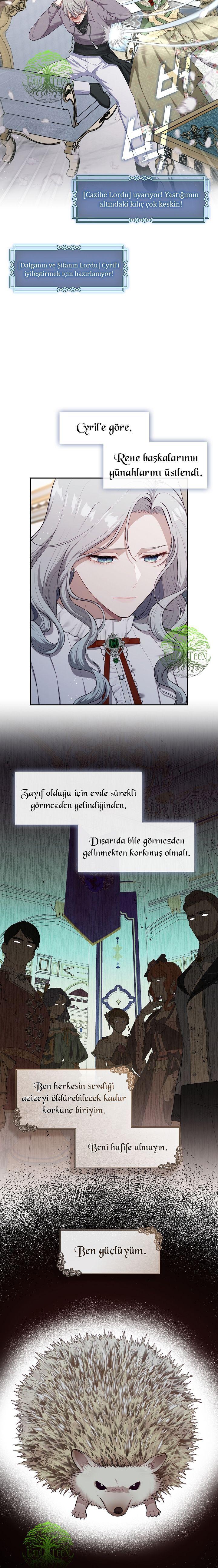 11-cmnq2268807i4ucwa0pciz3a1
