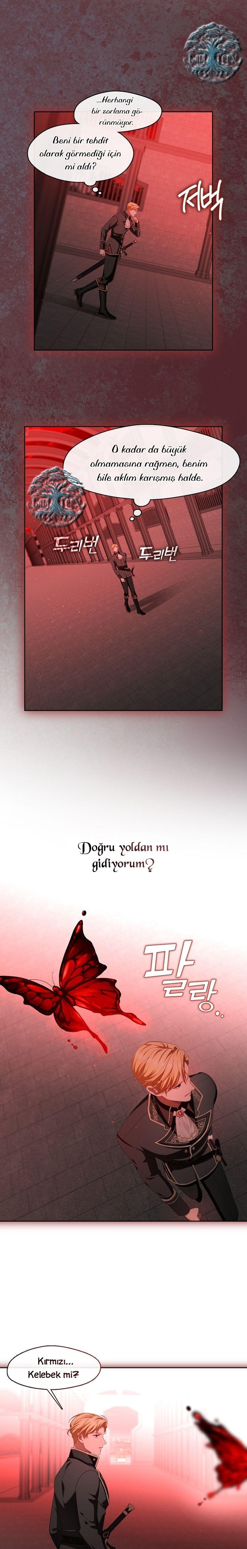 16-cmnq2268807i4ucwa0pciz3a1