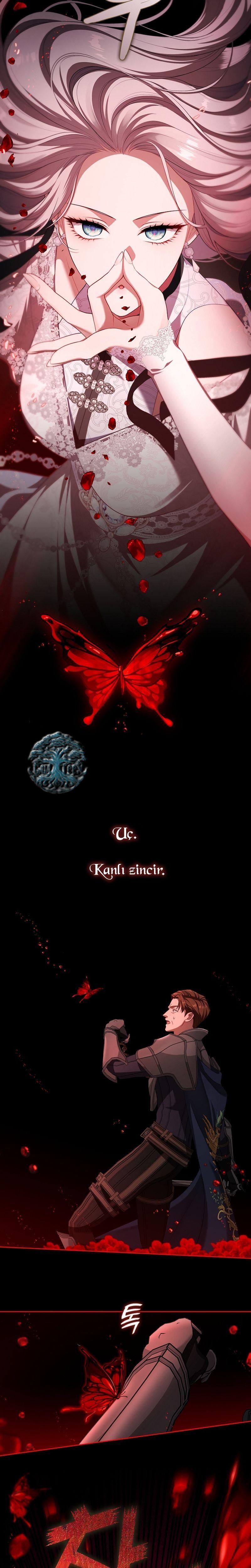 9-cmnq2268807i4ucwa0pciz3a1
