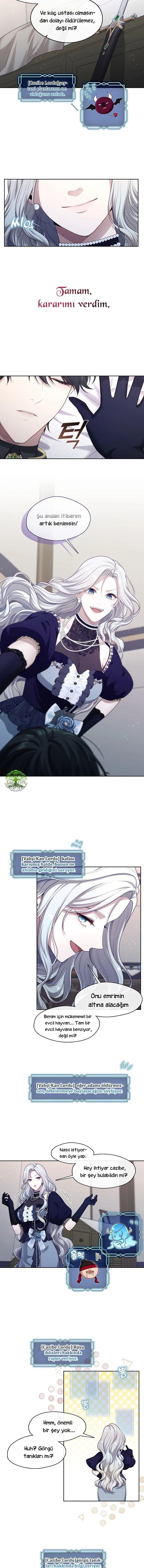 13-cmnq2268807i4ucwa0pciz3a1