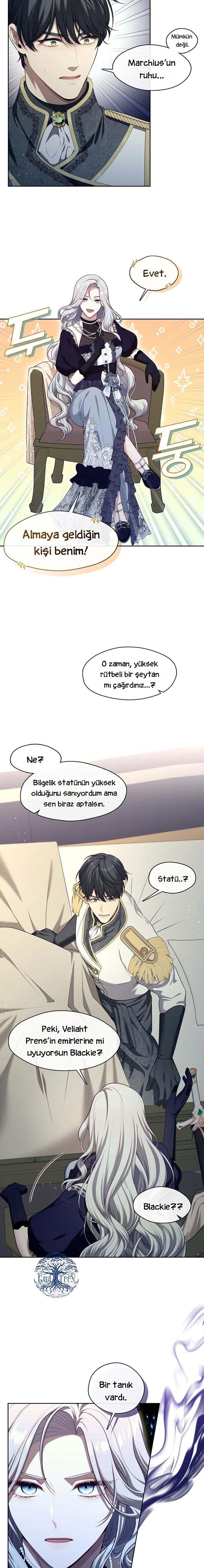 5-cmnq2268807i4ucwa0pciz3a1
