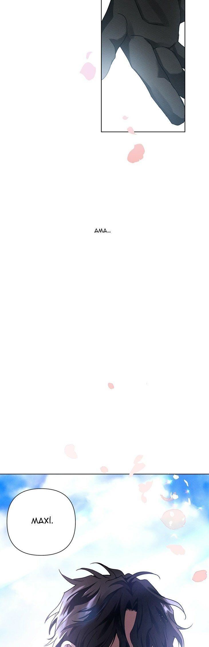 45-cm355pvvs0000ieyxlberxfl4