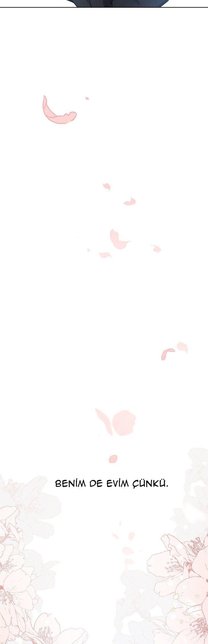 48-cm355pvvs0000ieyxlberxfl4