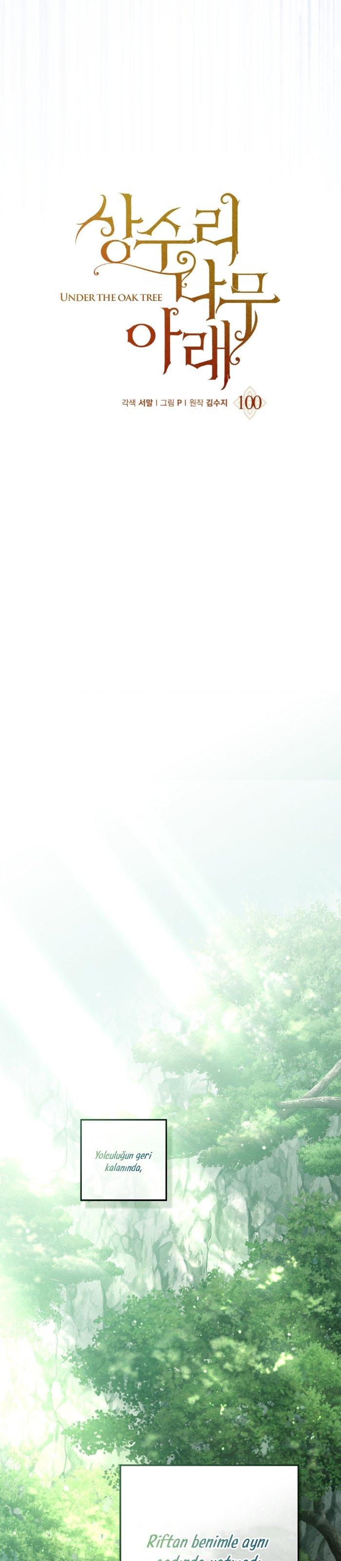 9-cm355pvvs0000ieyxlberxfl4
