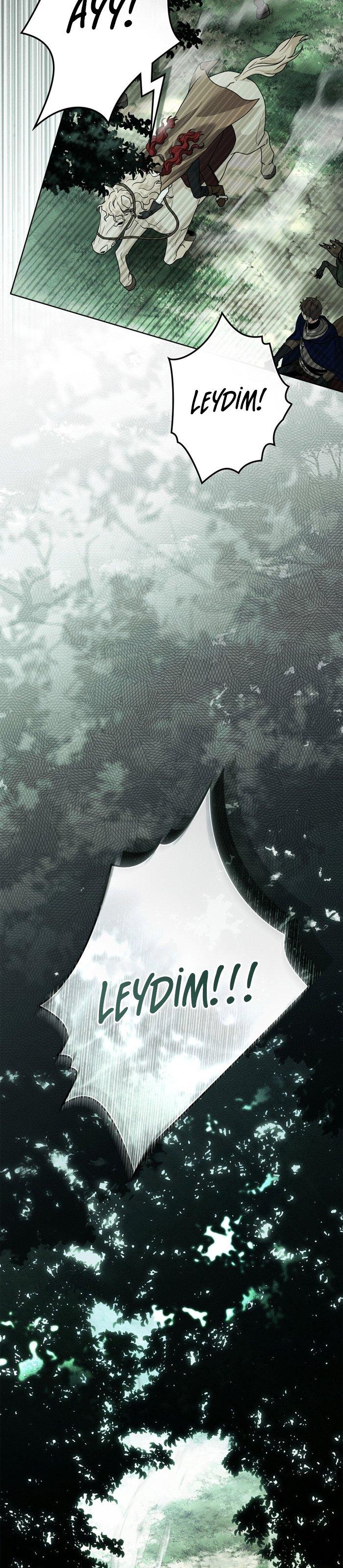 28-cm355pvvs0000ieyxlberxfl4