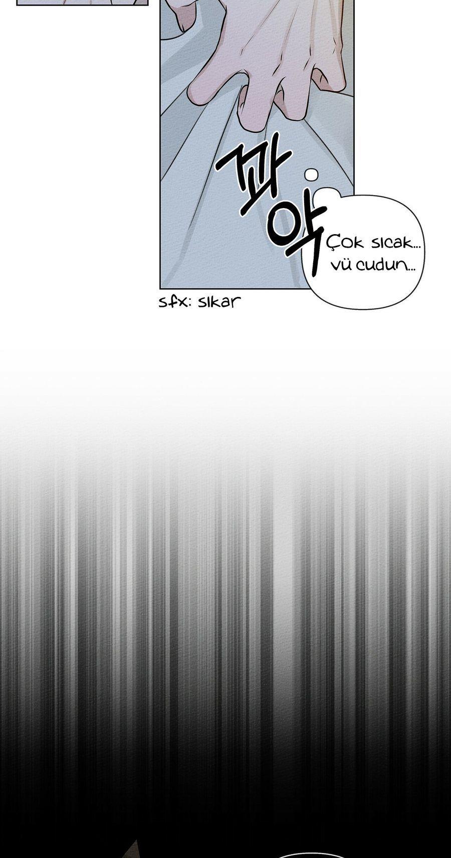 39-cm355pvvs0000ieyxlberxfl4