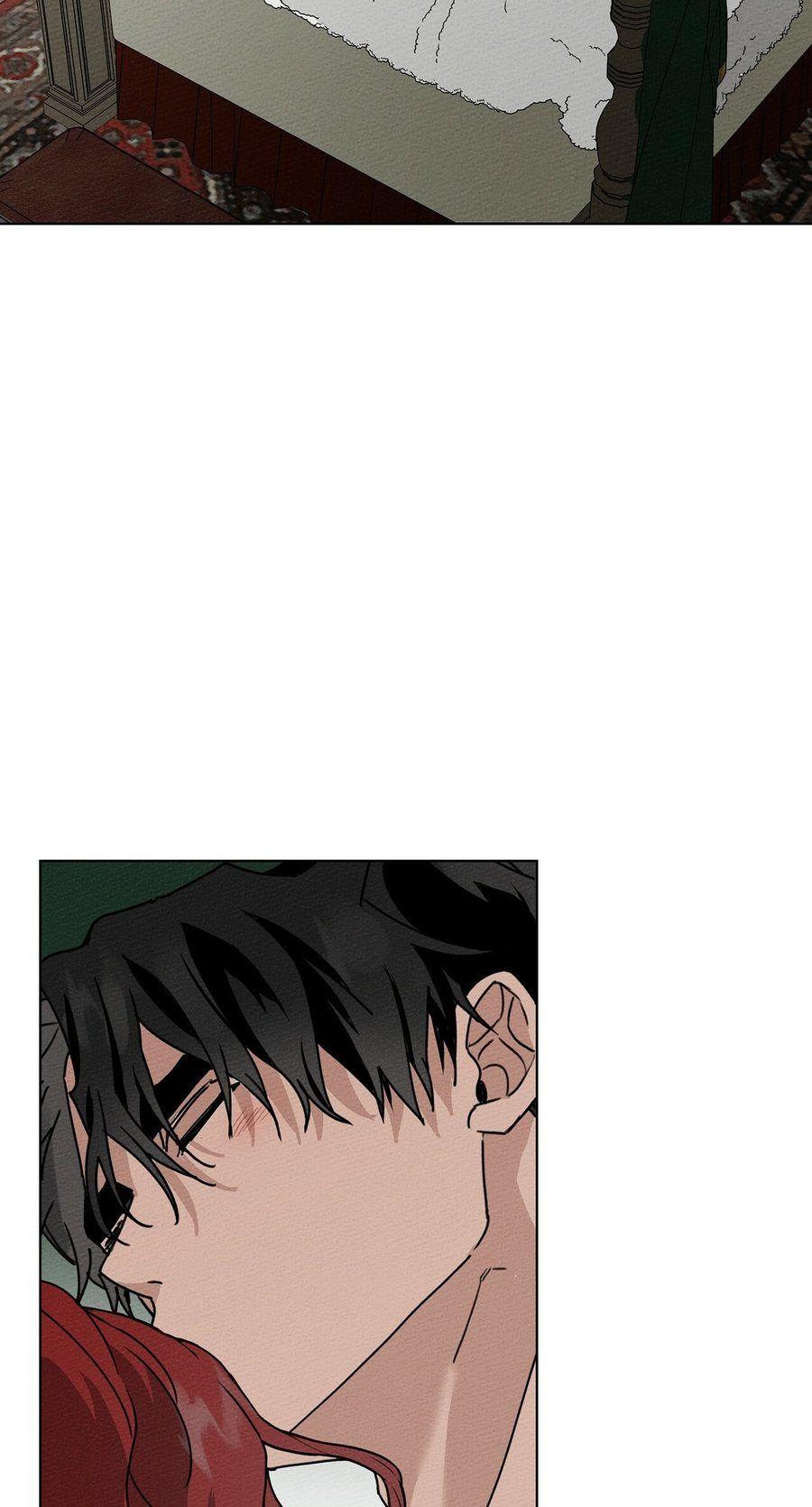 48-cm355pvvs0000ieyxlberxfl4