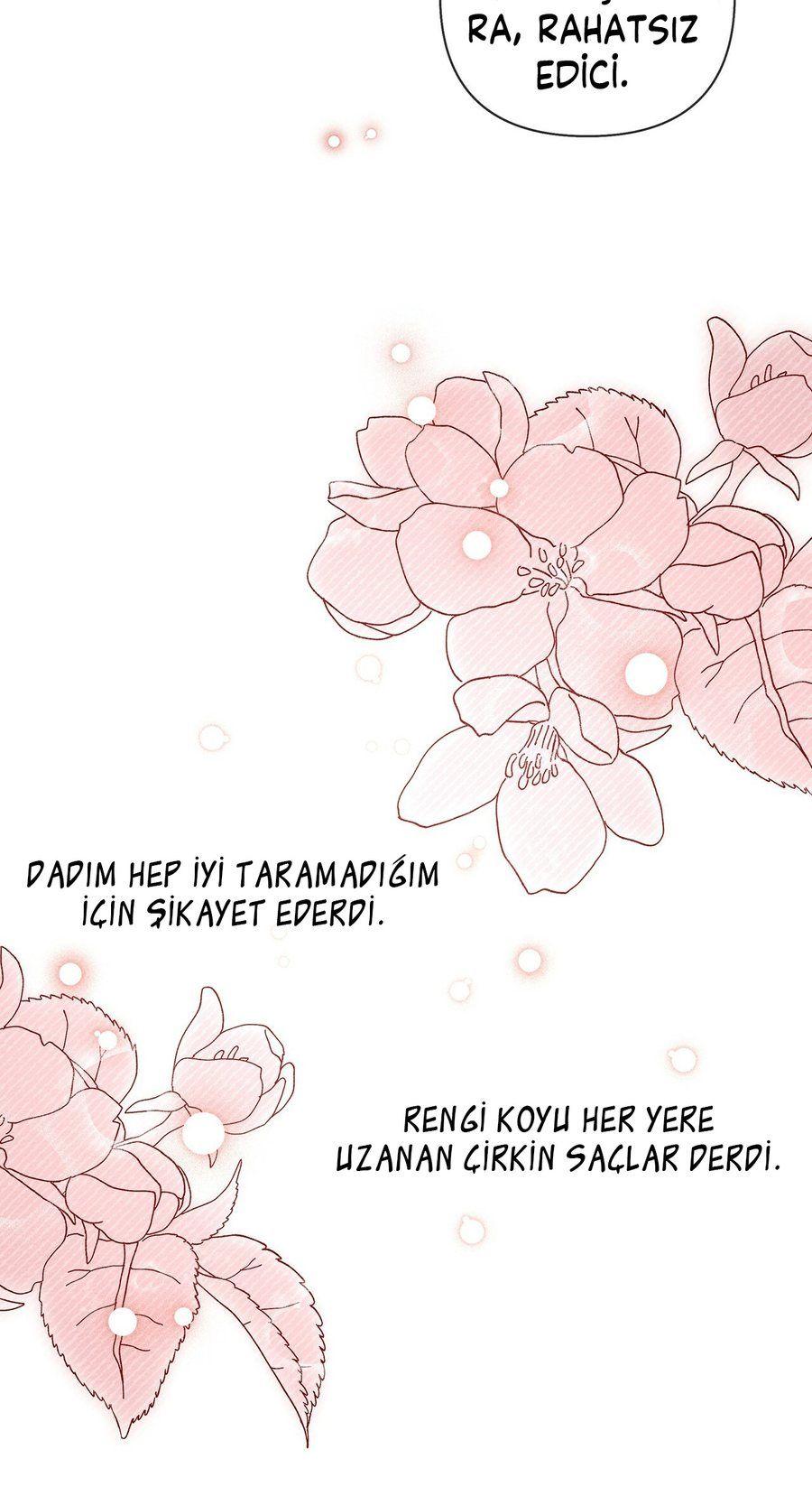 51-cm355pvvs0000ieyxlberxfl4