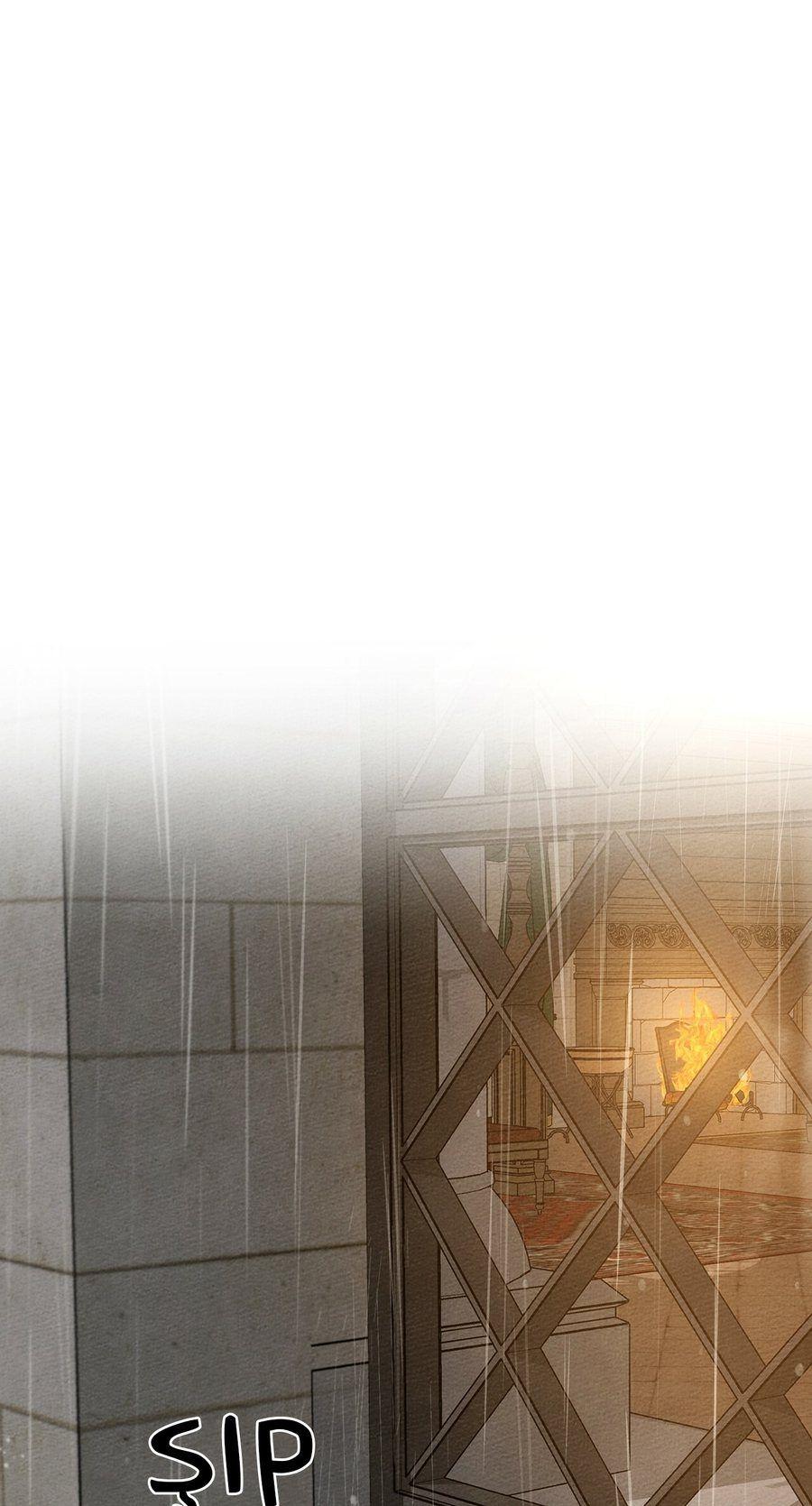 2-cm355pvvs0000ieyxlberxfl4
