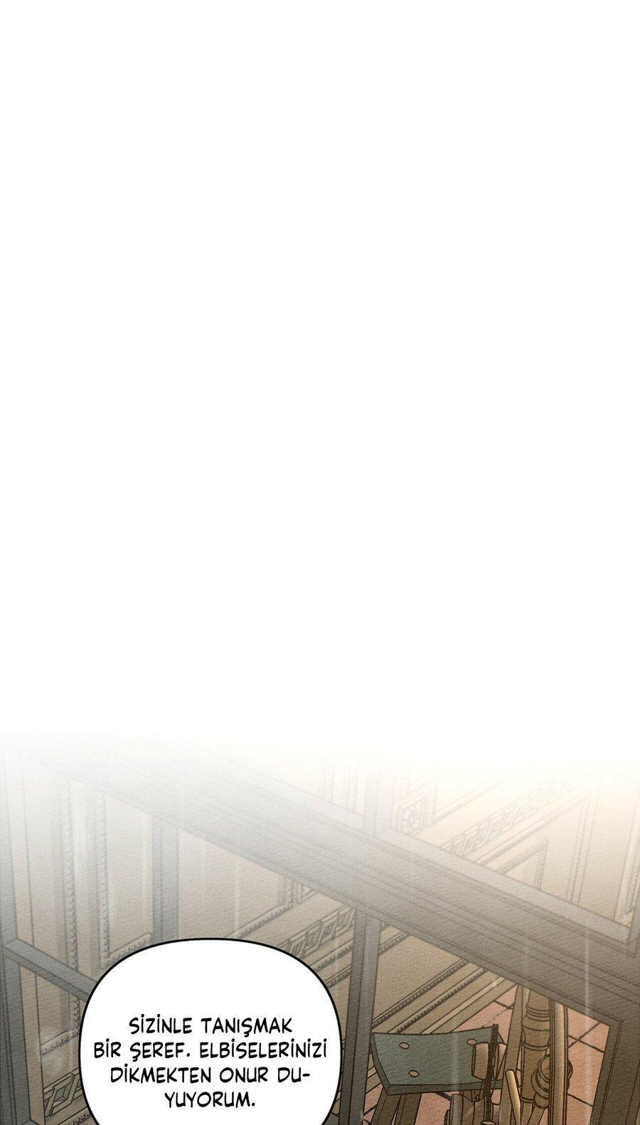 50-cm355pvvs0000ieyxlberxfl4
