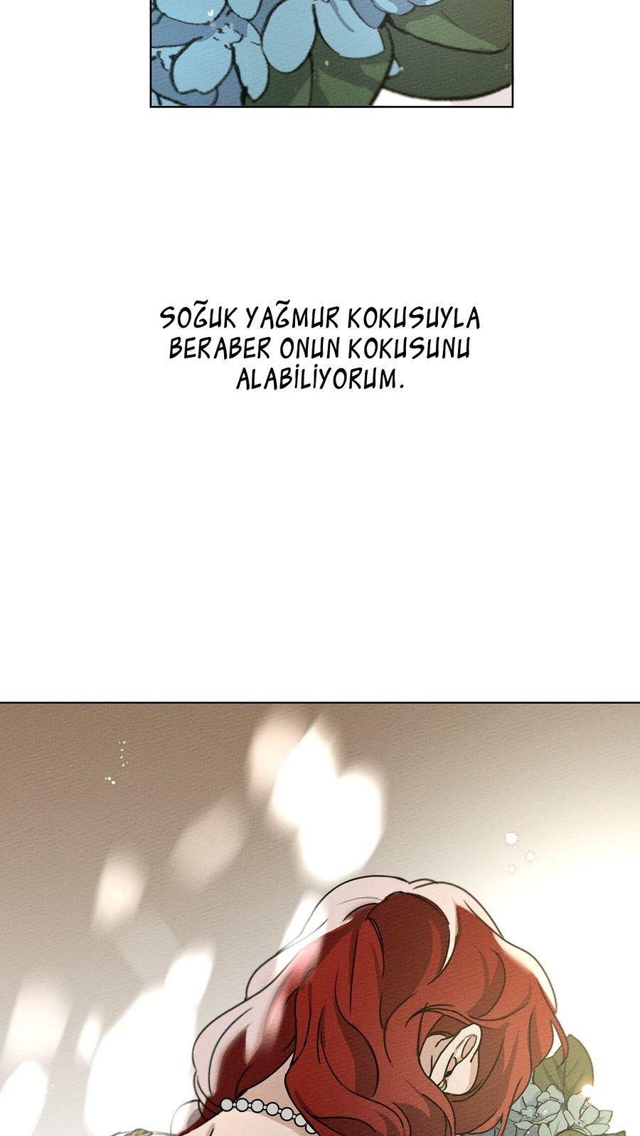 80-cm355pvvs0000ieyxlberxfl4