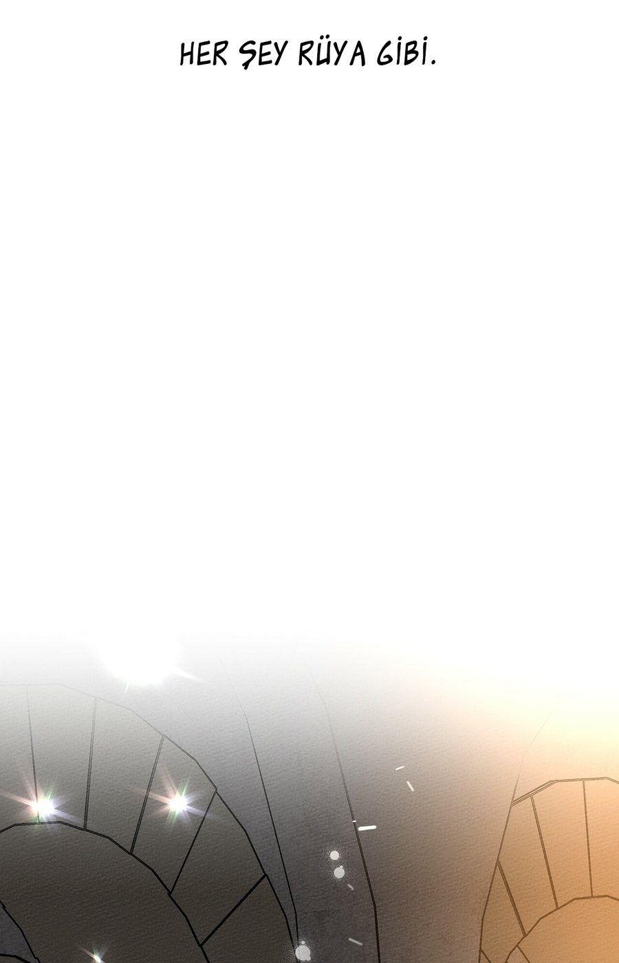 84-cm355pvvs0000ieyxlberxfl4