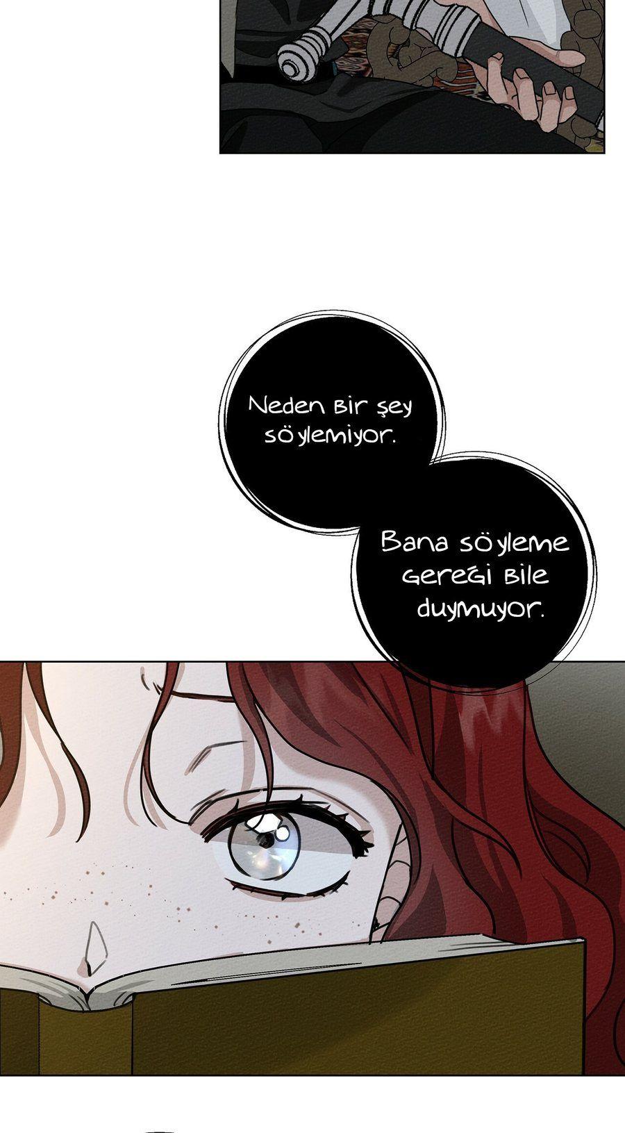 66-cm355pvvs0000ieyxlberxfl4