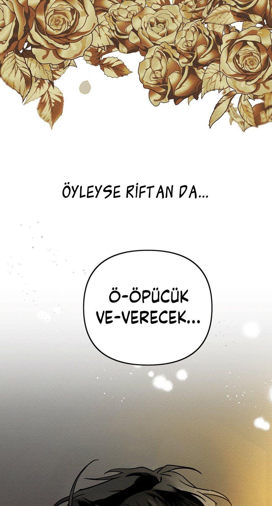 80-cm355pvvs0000ieyxlberxfl4