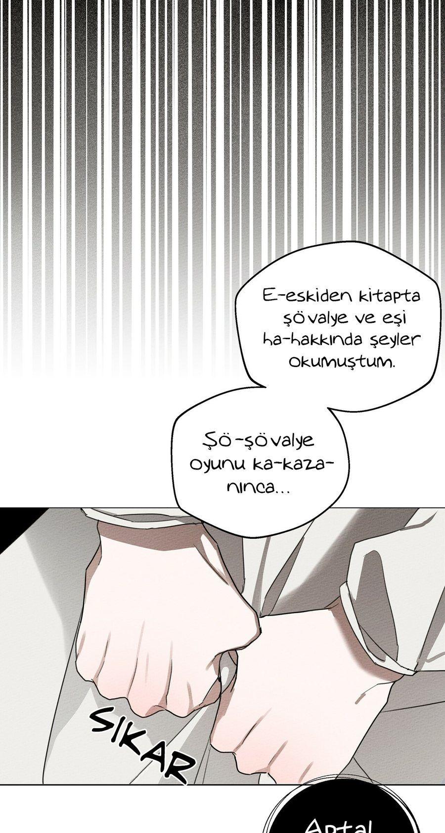 84-cm355pvvs0000ieyxlberxfl4