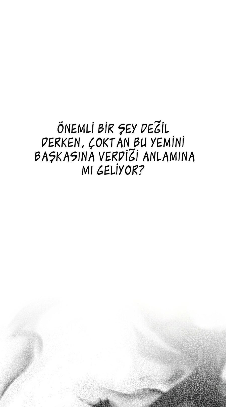 91-cm355pvvs0000ieyxlberxfl4