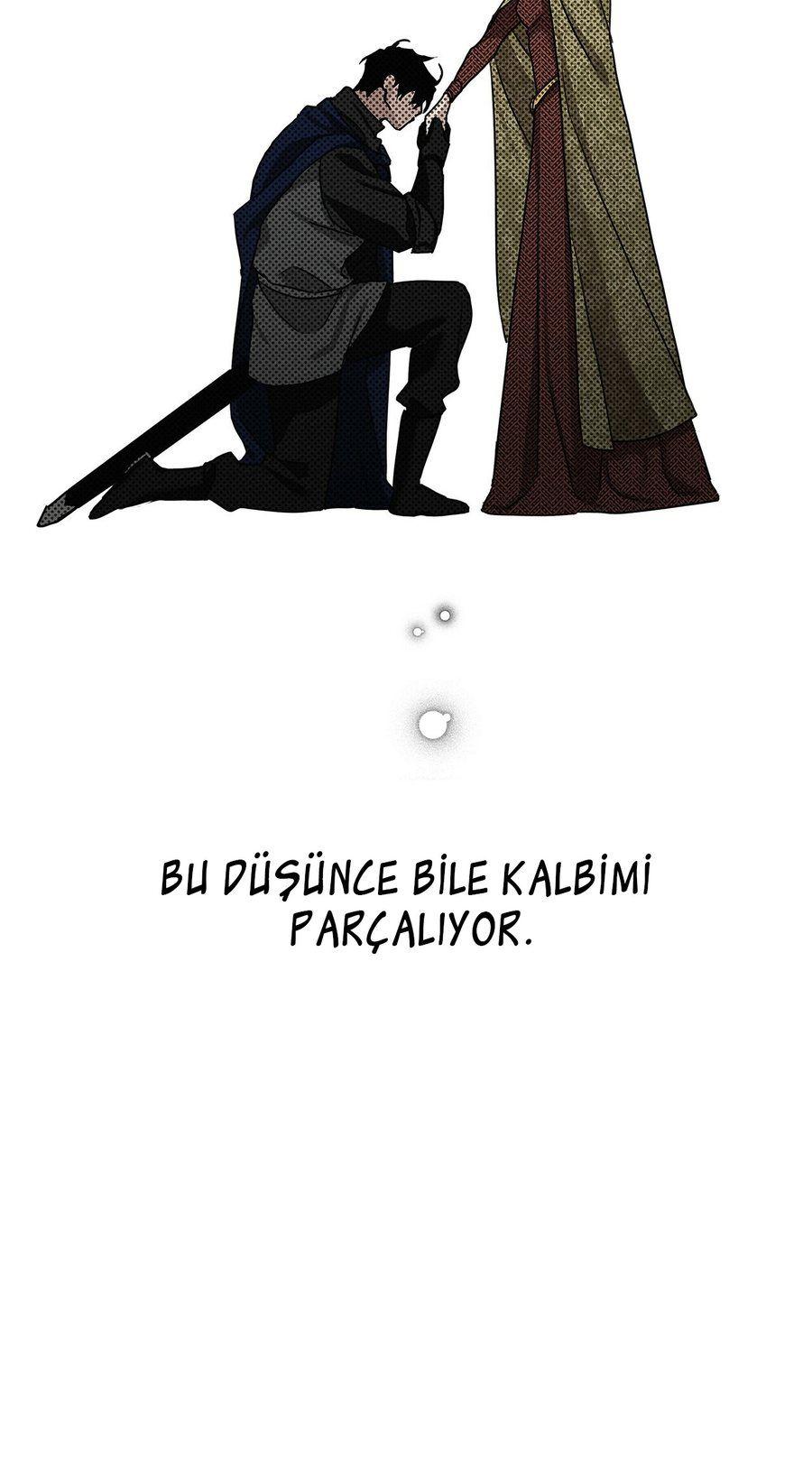 94-cm355pvvs0000ieyxlberxfl4