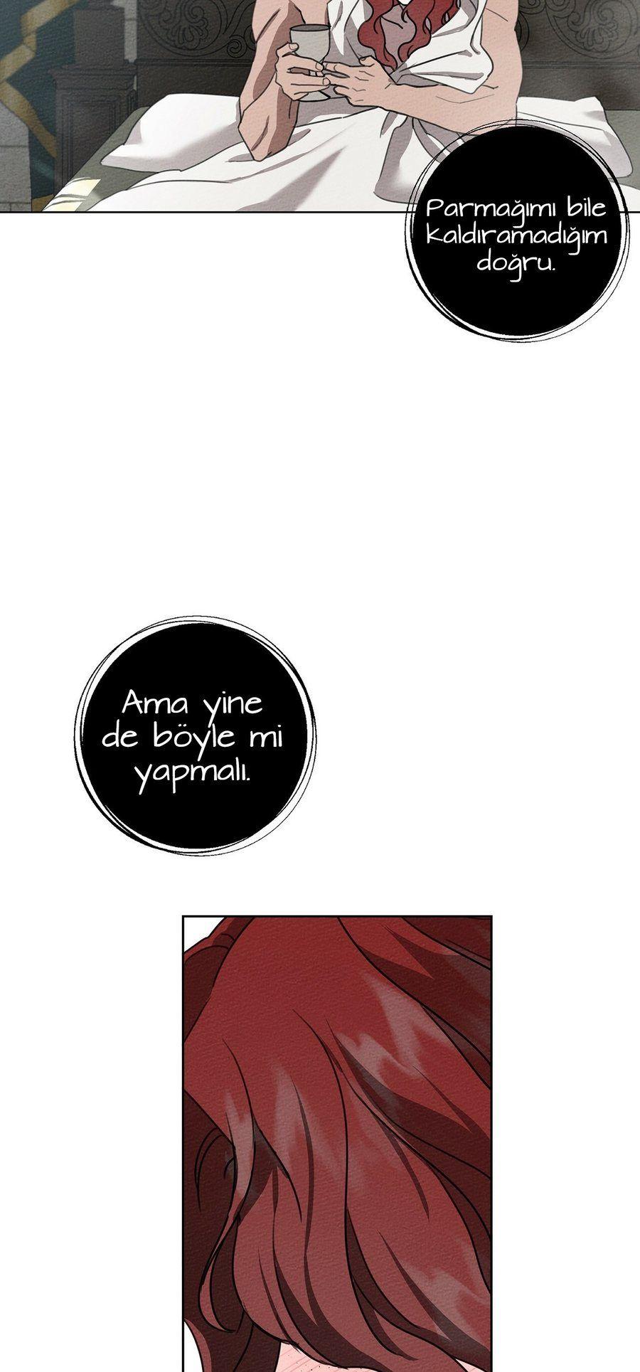49-cm355pvvs0000ieyxlberxfl4