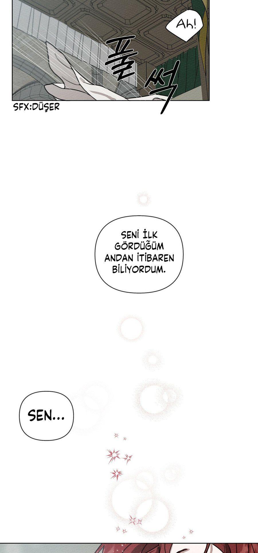 61-cm355pvvs0000ieyxlberxfl4