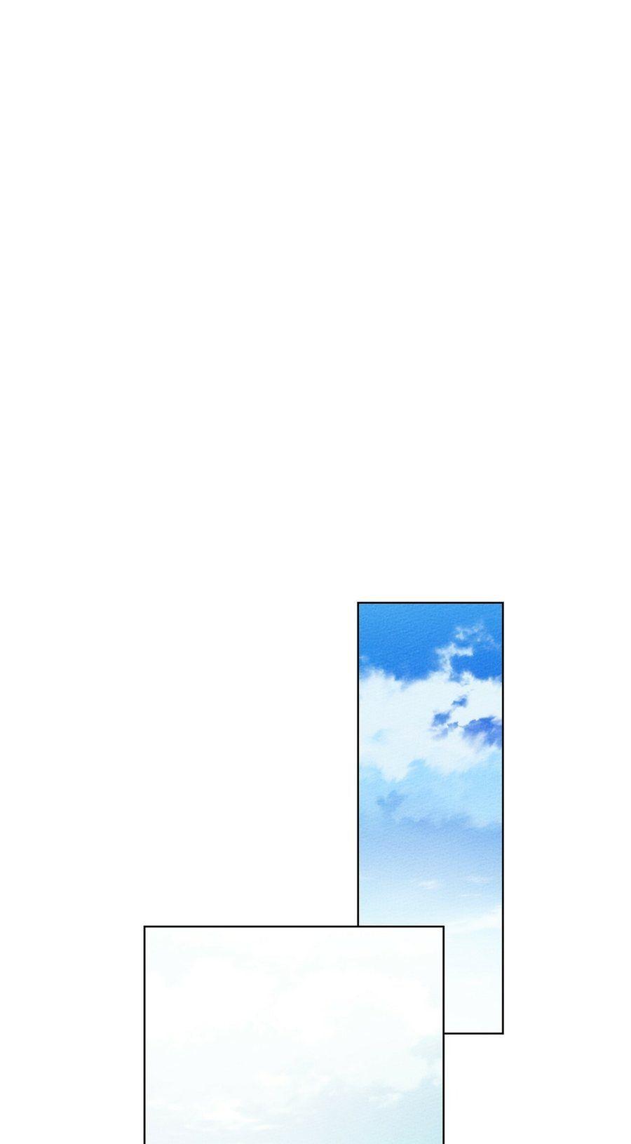 49-cm355pvvs0000ieyxlberxfl4