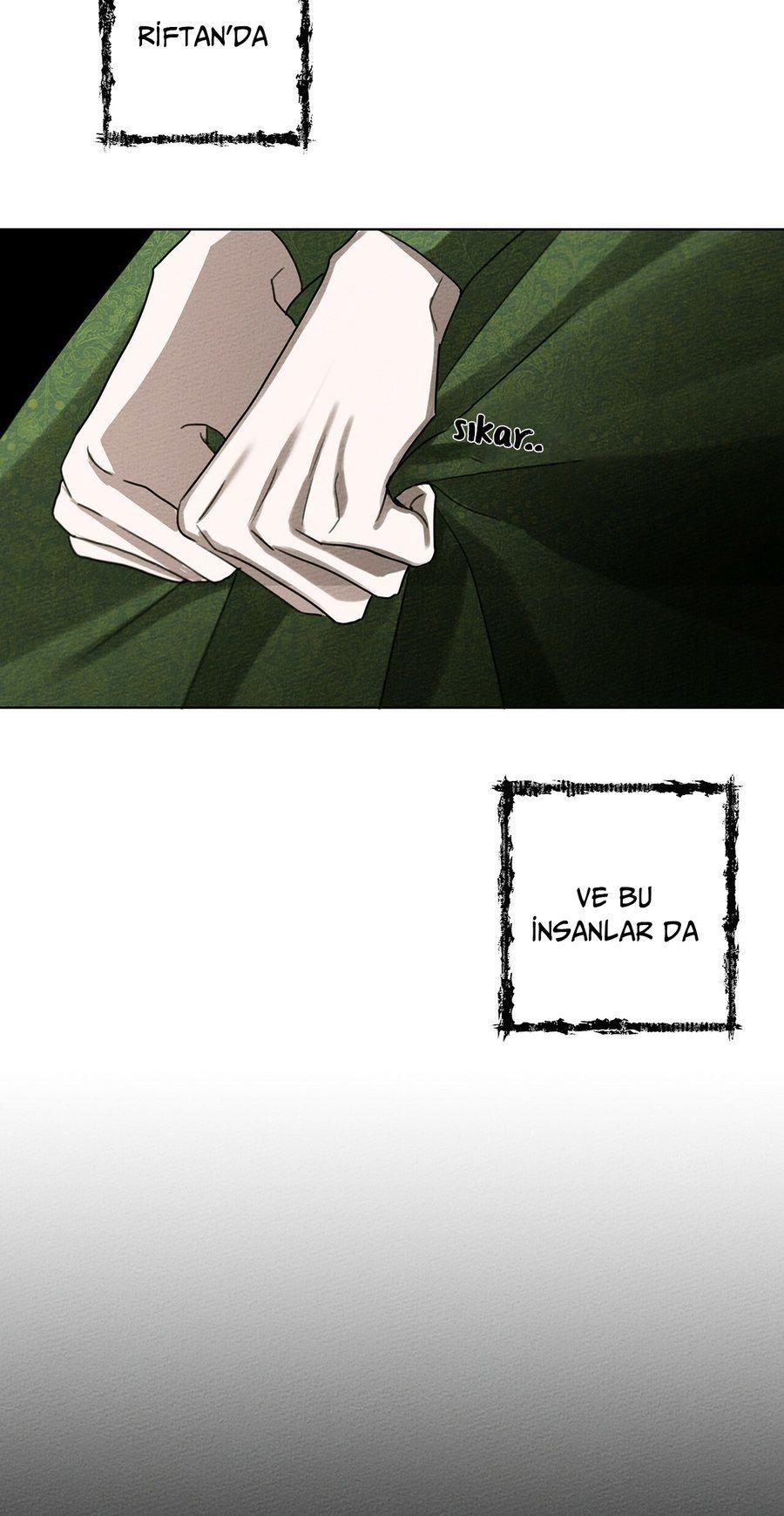 79-cm355pvvs0000ieyxlberxfl4