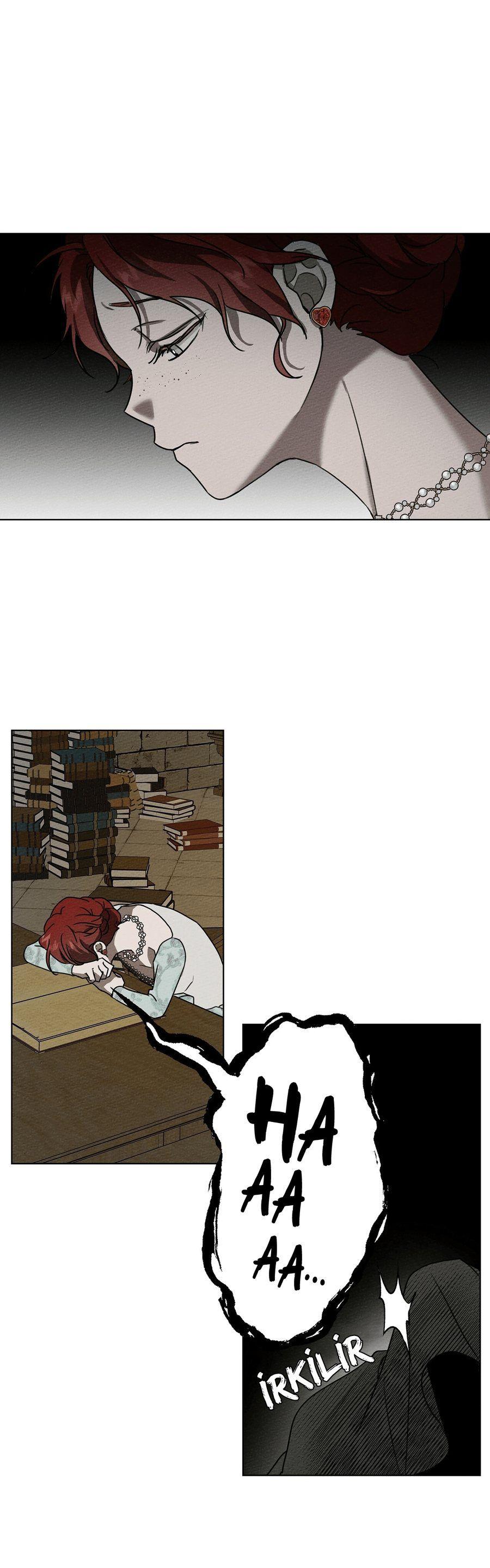 41-cm355pvvs0000ieyxlberxfl4
