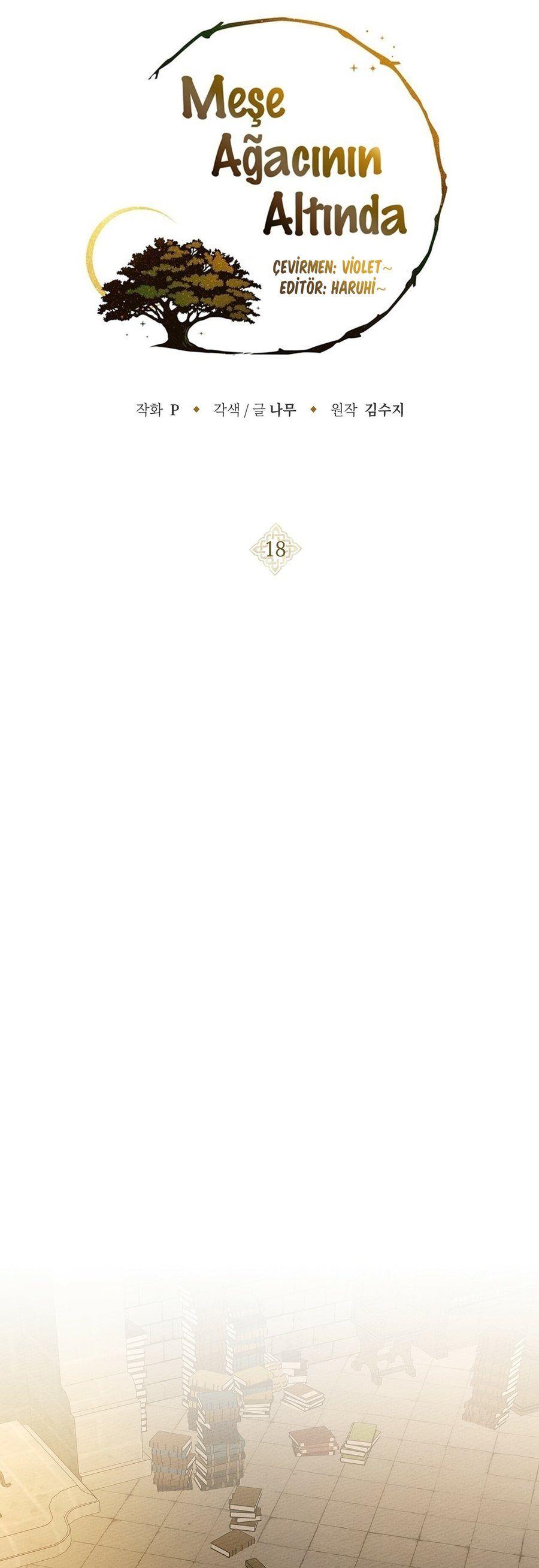 1-cm355pvvs0000ieyxlberxfl4