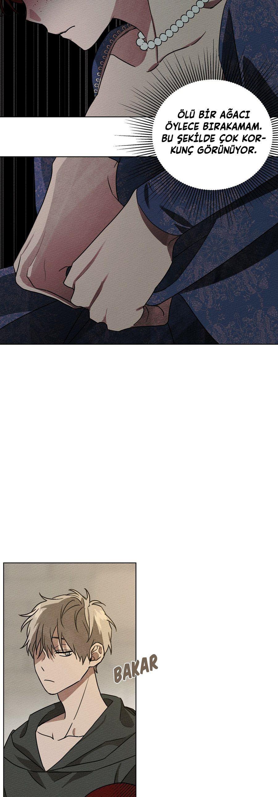38-cm355pvvs0000ieyxlberxfl4
