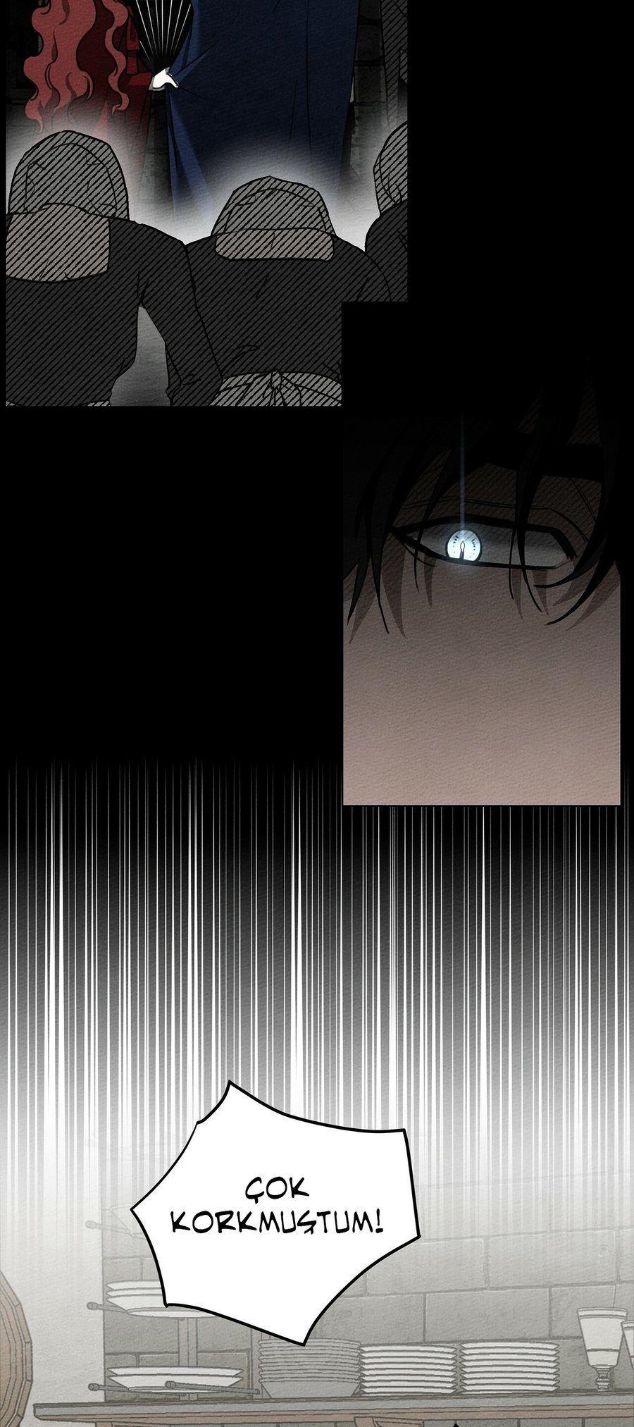 4-cm355pvvs0000ieyxlberxfl4