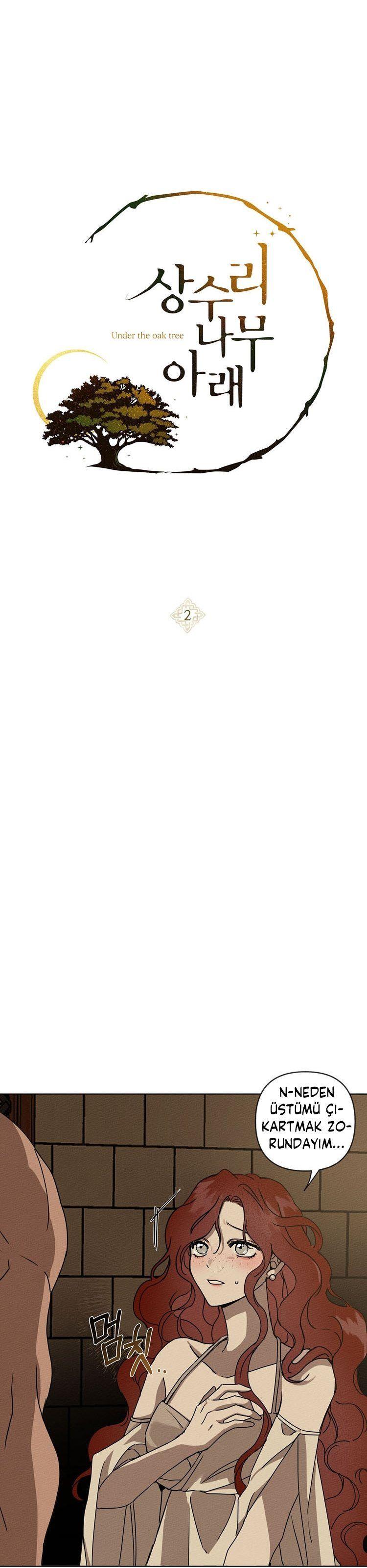 2-cm355pvvs0000ieyxlberxfl4