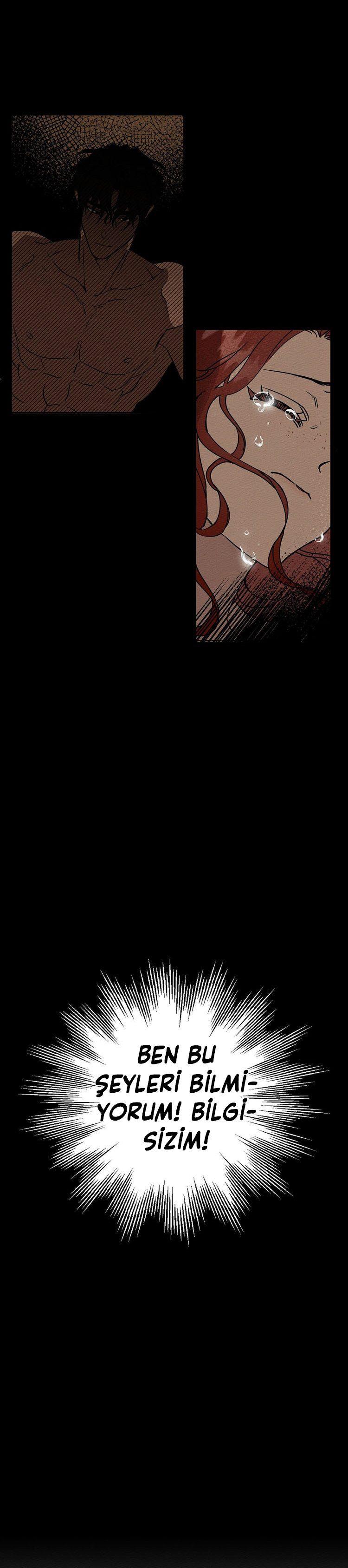 5-cm355pvvs0000ieyxlberxfl4
