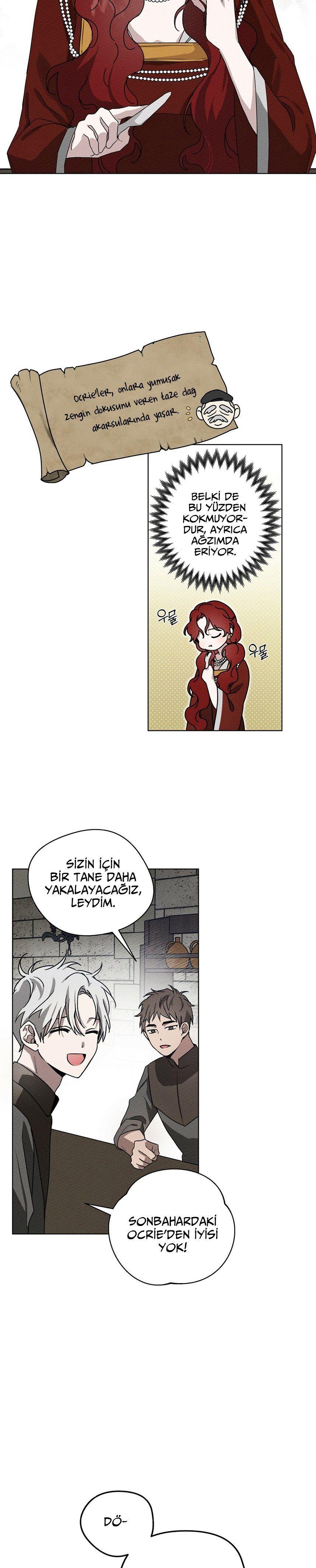 14-cm355pvvs0000ieyxlberxfl4