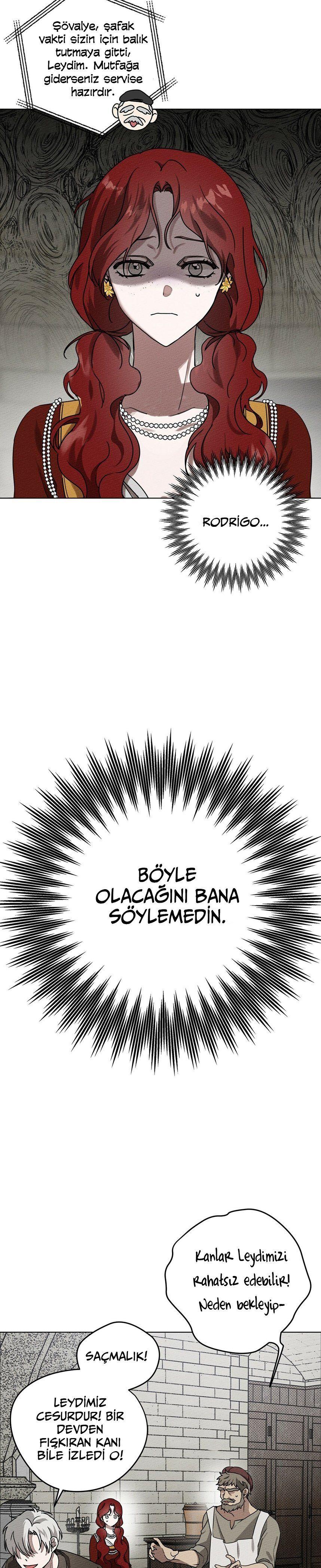 5-cm355pvvs0000ieyxlberxfl4