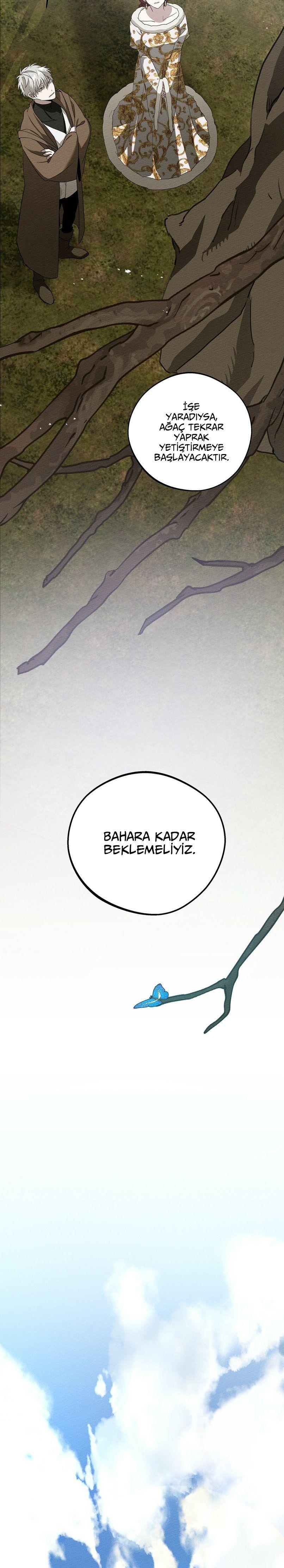 22-cm355pvvs0000ieyxlberxfl4