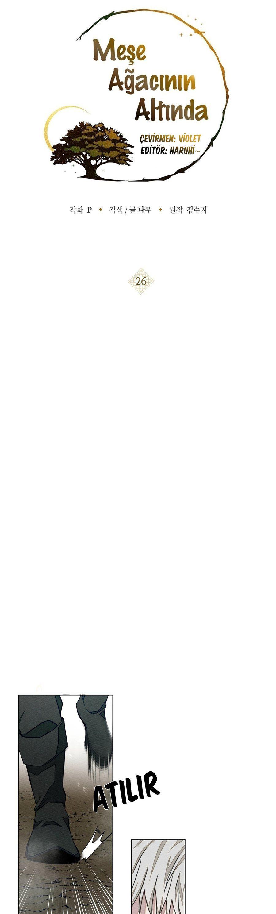 1-cm355pvvs0000ieyxlberxfl4