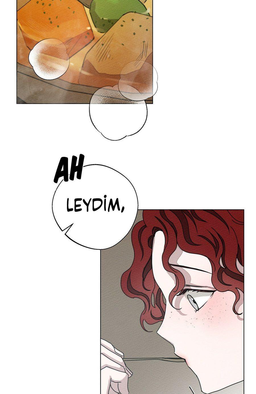 60-cm355pvvs0000ieyxlberxfl4