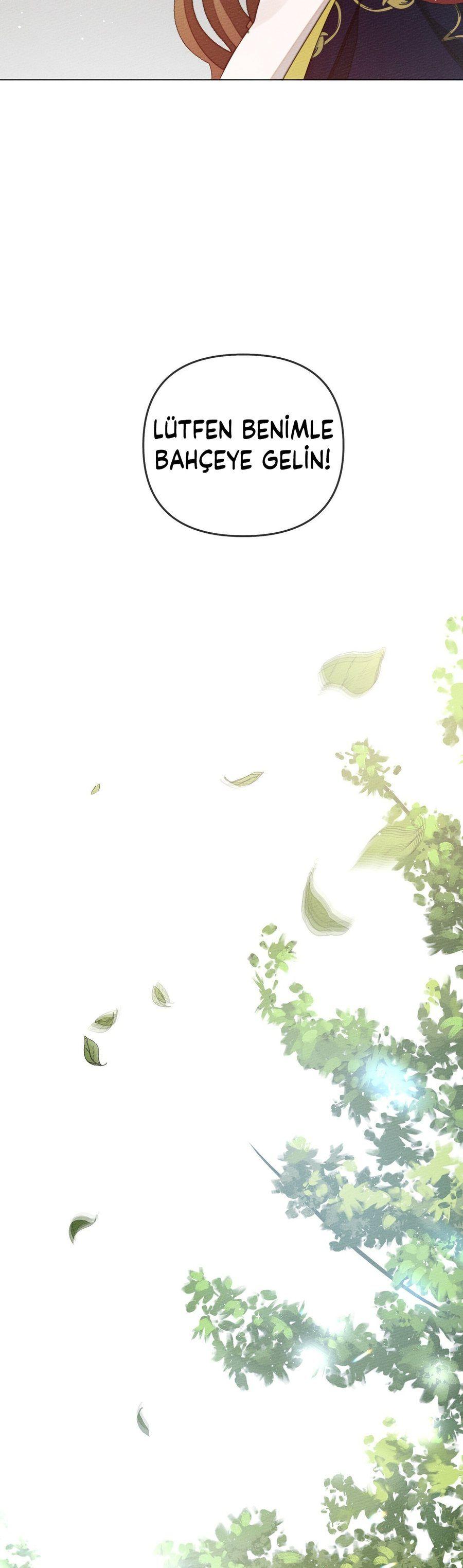 20-cm355pvvs0000ieyxlberxfl4