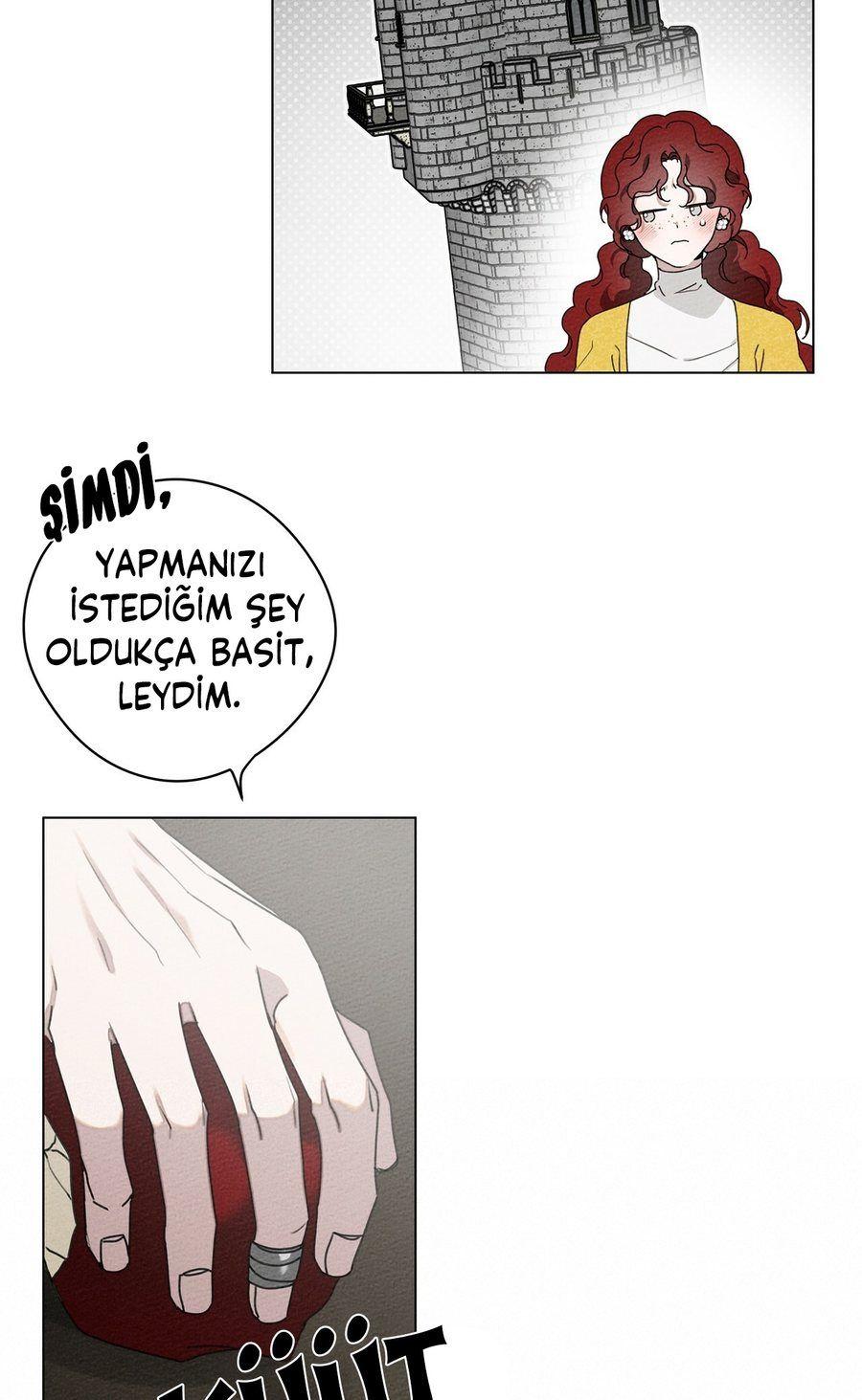 39-cm355pvvs0000ieyxlberxfl4
