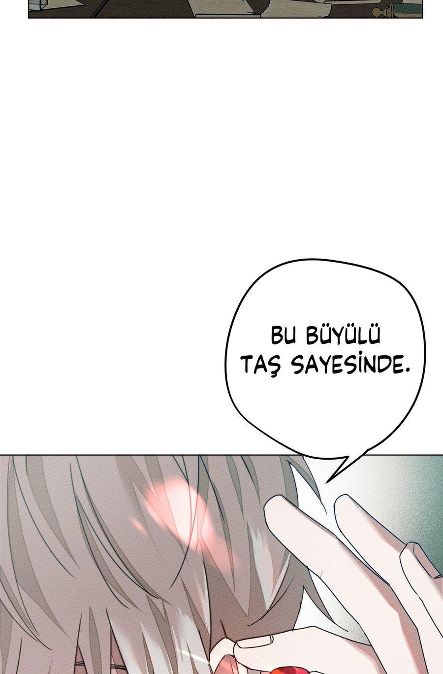 54-cm355pvvs0000ieyxlberxfl4