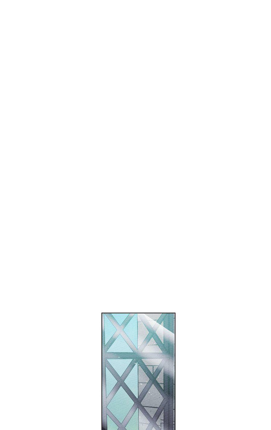 7-cm355pvvs0000ieyxlberxfl4