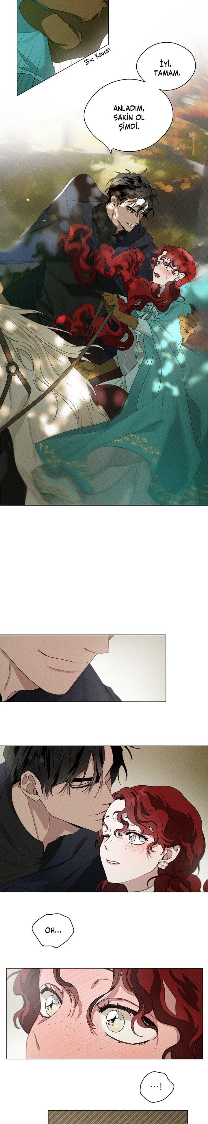 5-cm355pvvs0000ieyxlberxfl4